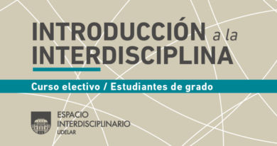 Banner informativo del curso “Introducción a la interdisciplina”. Incluye el texto “Curso electivo / Estudiantes de grado” y el logo del Espacio Interdisciplinario de la Udelar. Fondo beige con líneas curvas blancas y una franja horizontal verde azulado.